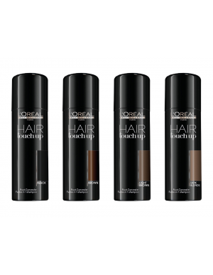 L’Oreal Hair Touch Up