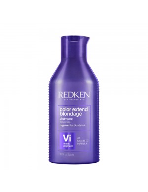 Redken Color Extend...